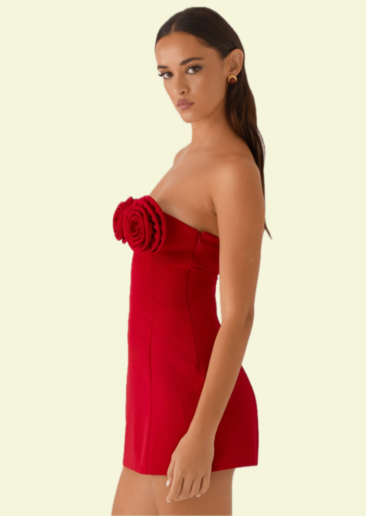 Red Rose Mini Dress