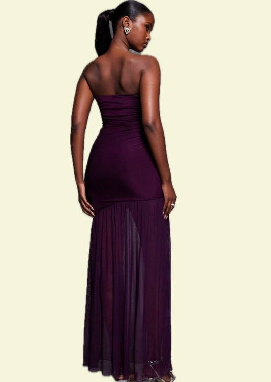 Plum Strapless Mesh Maxi Dress - Pineloue