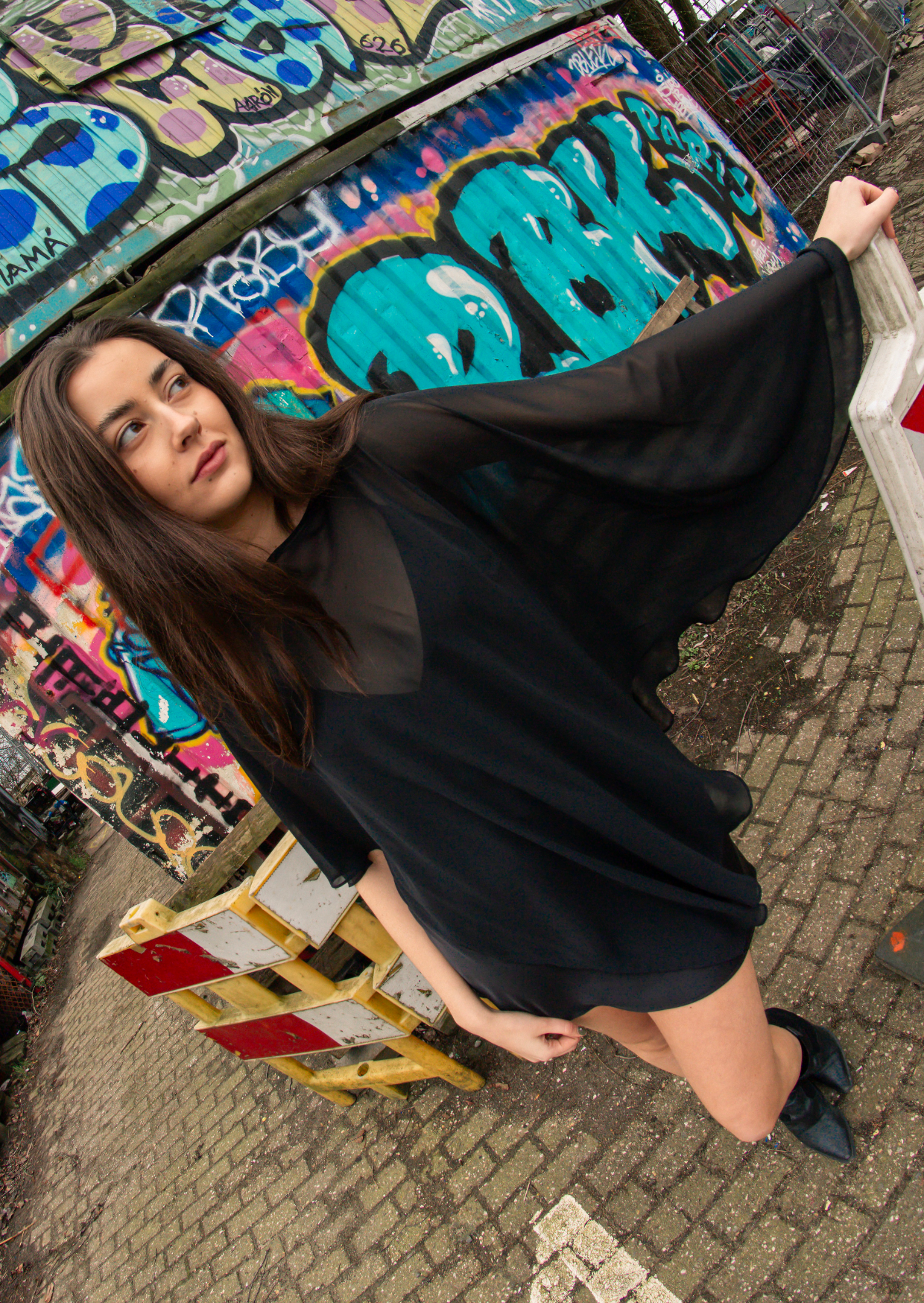 Black Cape Mesh Mini Dress - Pineloue