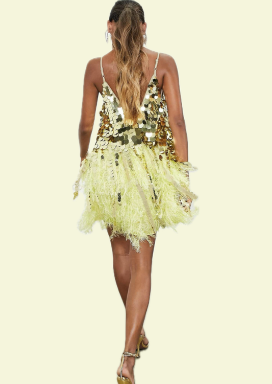 Lumière Fringe Sequin Mini Dress - Pineloue