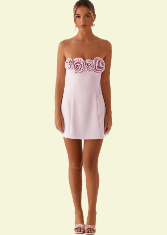 Rosalie Blush Mini Dress